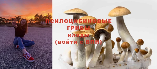 mdpv Заволжск
