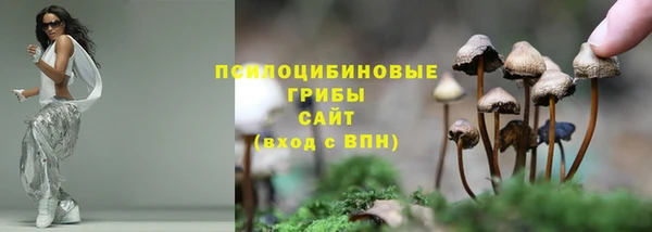 бошки Алзамай