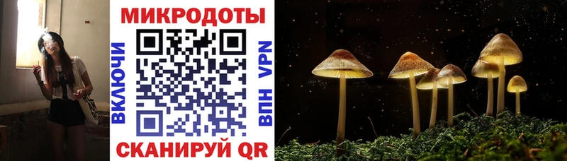 купить наркотик  Чебоксары  Галлюциногенные грибы Magic Shrooms 