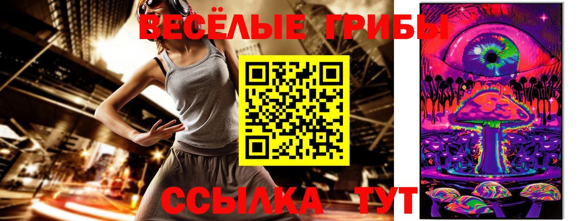 Чебоксары  где купить наркоту  Вход с VPN  Галлюциногенные грибы Cubensis 